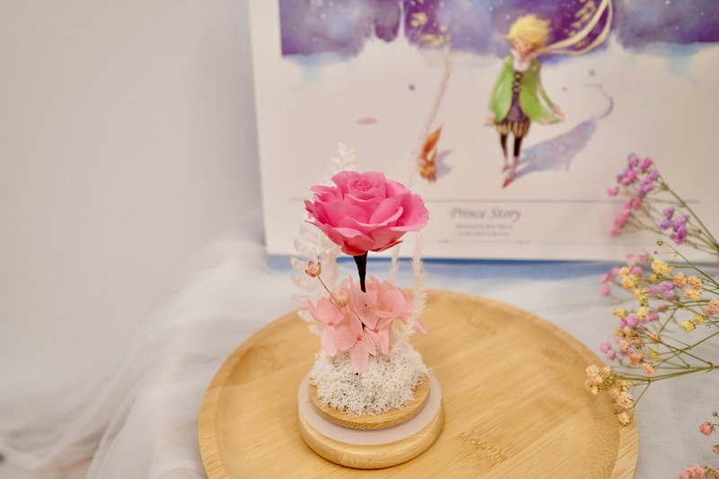 Preserved rose glass dome - princess pink - Dried Flowers & Bouquets - Plants & Flowers Pink