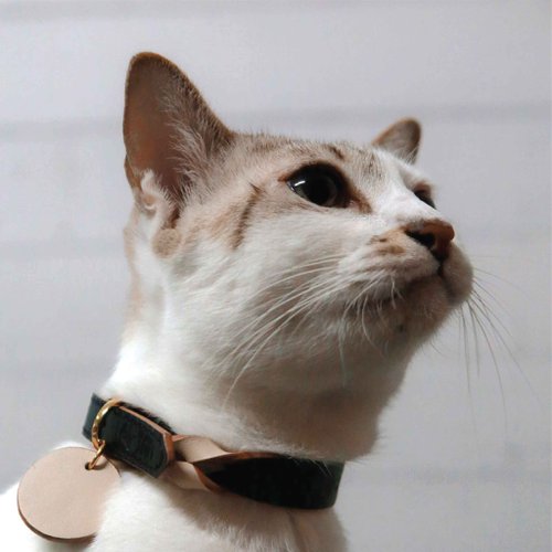 【♥TAI♥TAO♥】✨世界にひとつ✨本革✨フルオーダー✨小型犬猫用首輪 Amazon | WDPAWS 猫 首輪 猫の首輪 子猫 キラキラ クリスタル