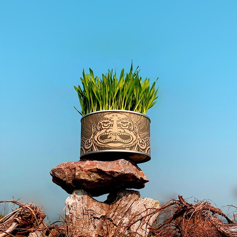 Angry canned cat grass seeds soil culture hydroponic cat grass hair cat grass set - Snacks - Other Materials 