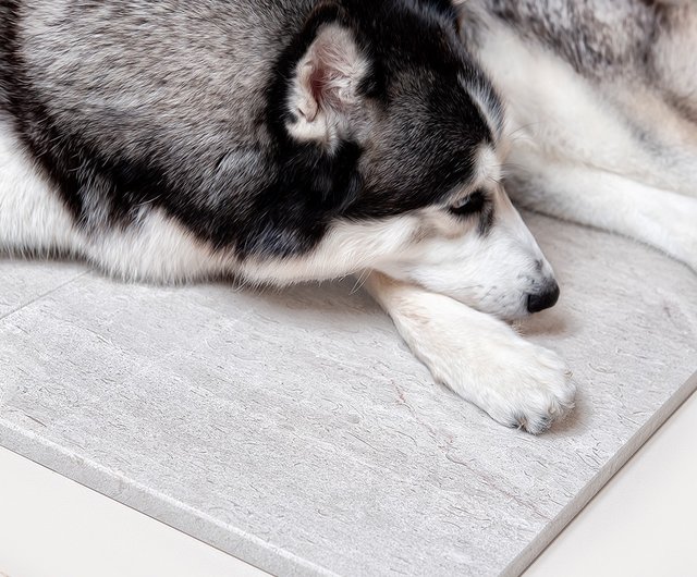 canine cooler dog bed