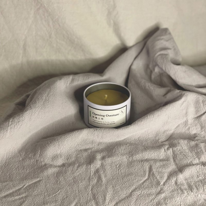 Song of Morning | Relaxing and Happy French Fir Beeswax Scented Candle to Purify the Air 85g - Fragrances - Essential Oils 