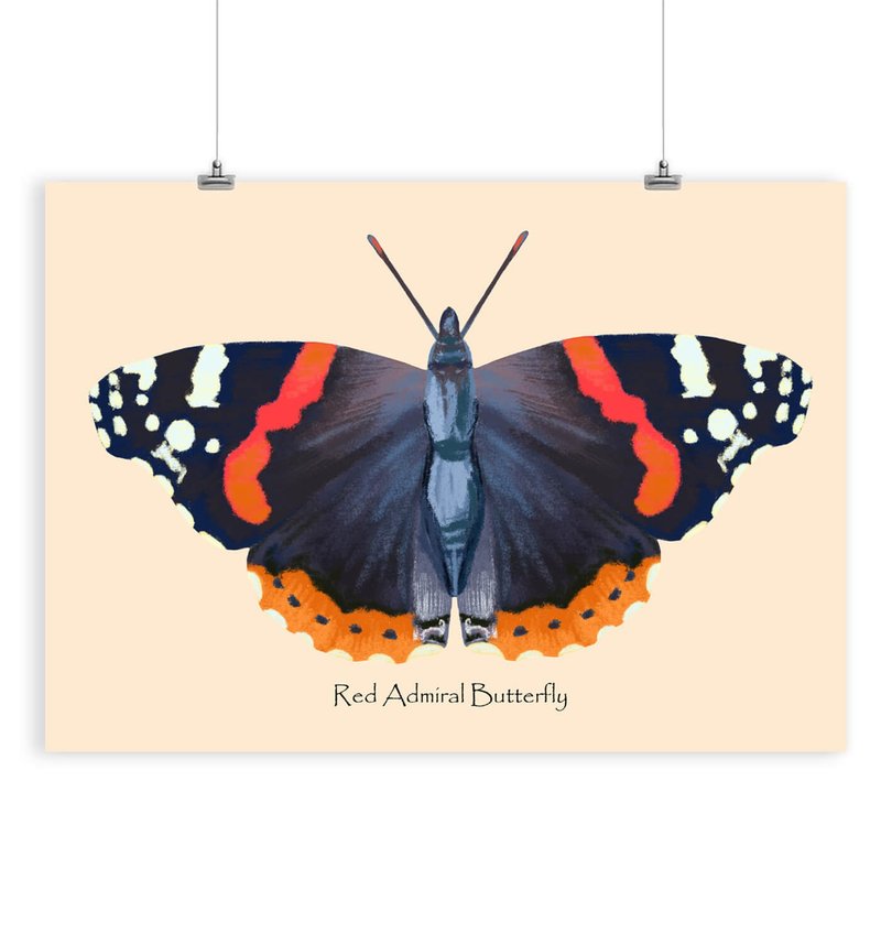 Butterfly Poster for Kids Room Decor, Nursery Art - Posters - Paper 