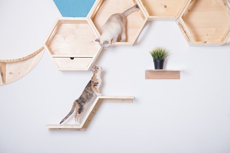 Floating Cat Walkway | Zone | MYZOO - Scratchers & Cat Furniture - Wood Brown