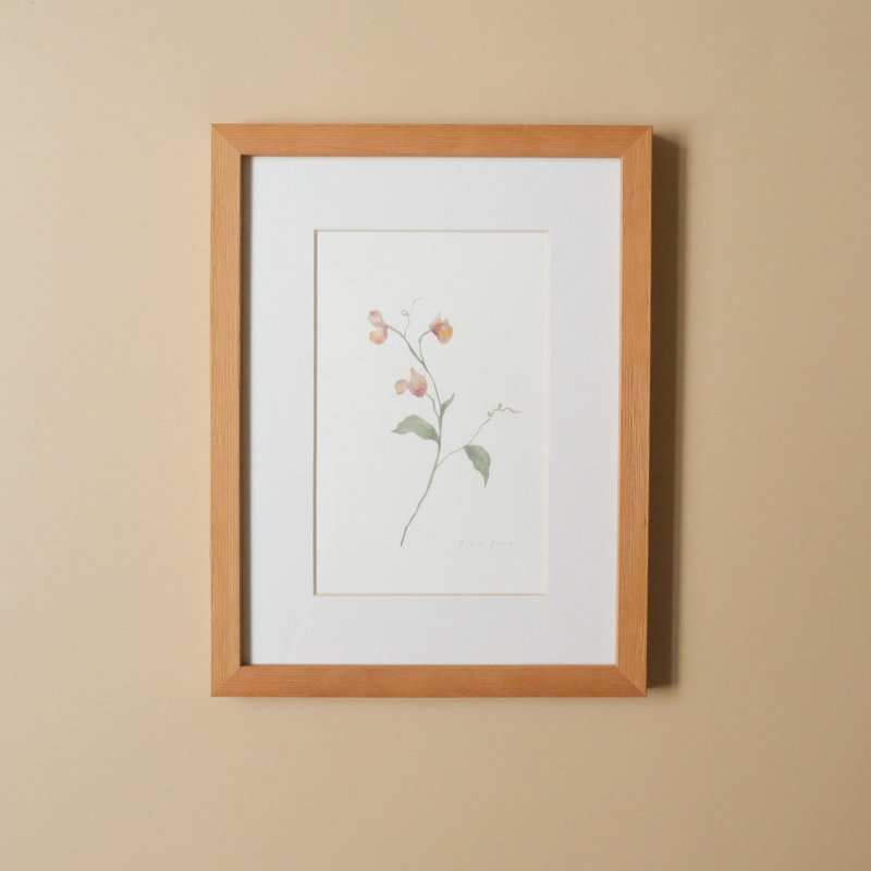 Botanical Illustration-Sweet Pea/Hanging Picture/Solid Wood Frame - โปสเตอร์ - กระดาษ 