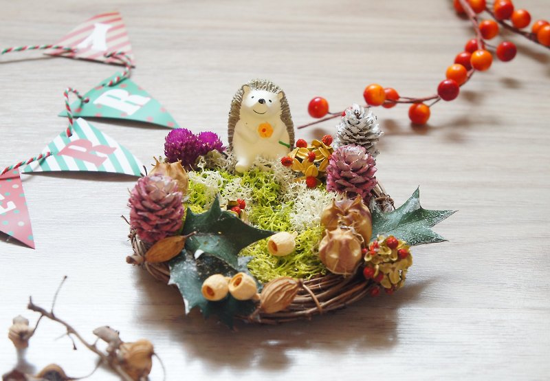 Hand-made dried flowers / non-withered flower series ~ forest friends Hedgehog Christmas forest landscape (potted flowers) / photo props / shop decoration / home decoration / desktop decorations ~ - ของวางตกแต่ง - พืช/ดอกไม้ 