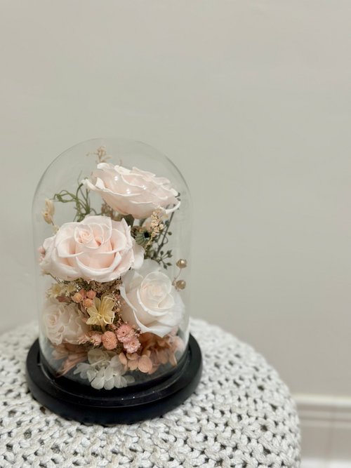 Miau Flowers 喵喵花室 簡約粉白玫瑰玻璃罩 永生花盅 情人節禮物