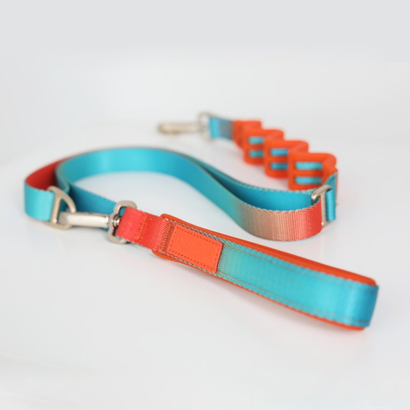 Multifunction Dog Leash, Gradient - Collars & Leashes - Polyester 