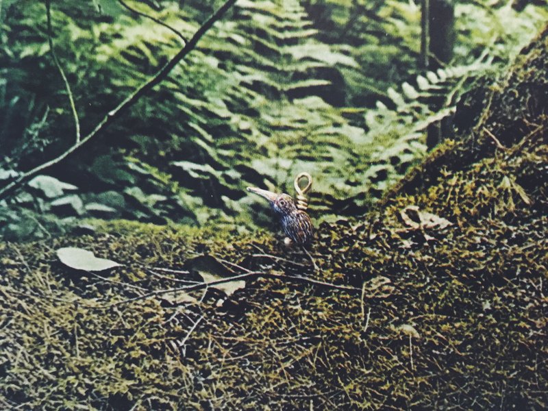 手繪墜子 - 奇異鳥 / Apteryx / キーウィ - 其他 - 銅/黃銅 咖啡色