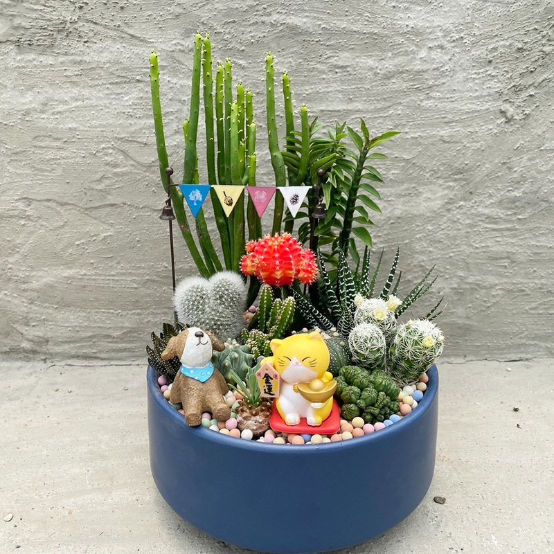 [Doudou Succulents] [Matte Blue Planting Combination] Housewarming│Gifts│Promotion│Succulents - ตกแต่งต้นไม้ - พืช/ดอกไม้ 