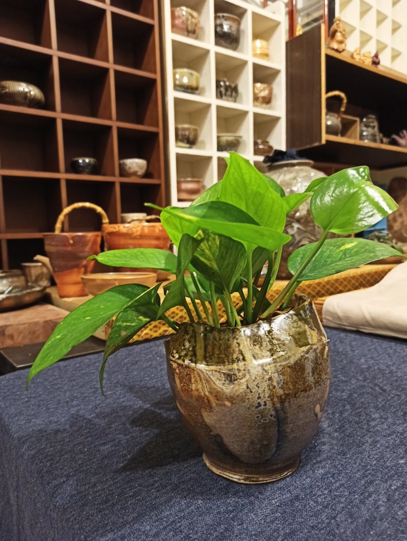柴燒花瓶 - 花瓶/花器 - 陶 金色