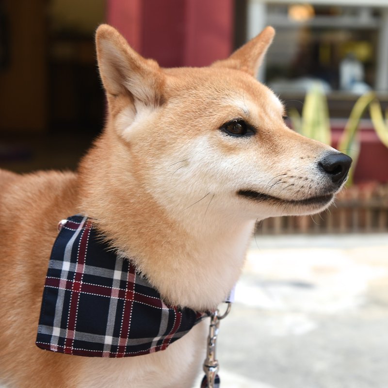 [ZAZAZOO] M Code Dog Collar Accessories - Navy - Without Collar - ปลอกคอ - เส้นใยสังเคราะห์ 
