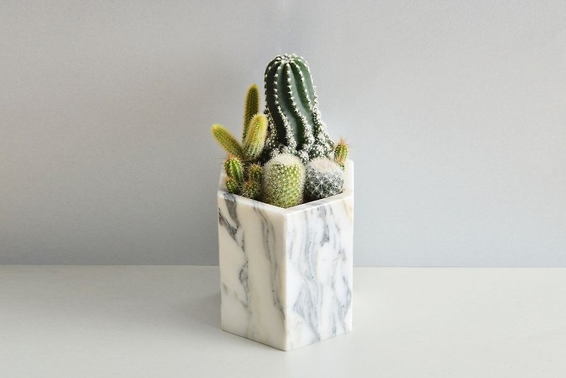 Marble hexagonal cactus group | China lime pattern | promotion official home opening fleshy potted - Plants - Stone White