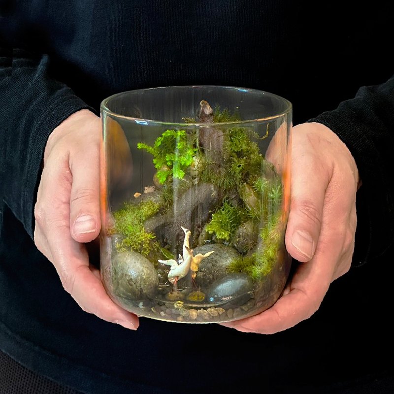 溪澗雙舞  / 主題性客製化造景生態缸 - 盆栽/植栽 - 植物．花 