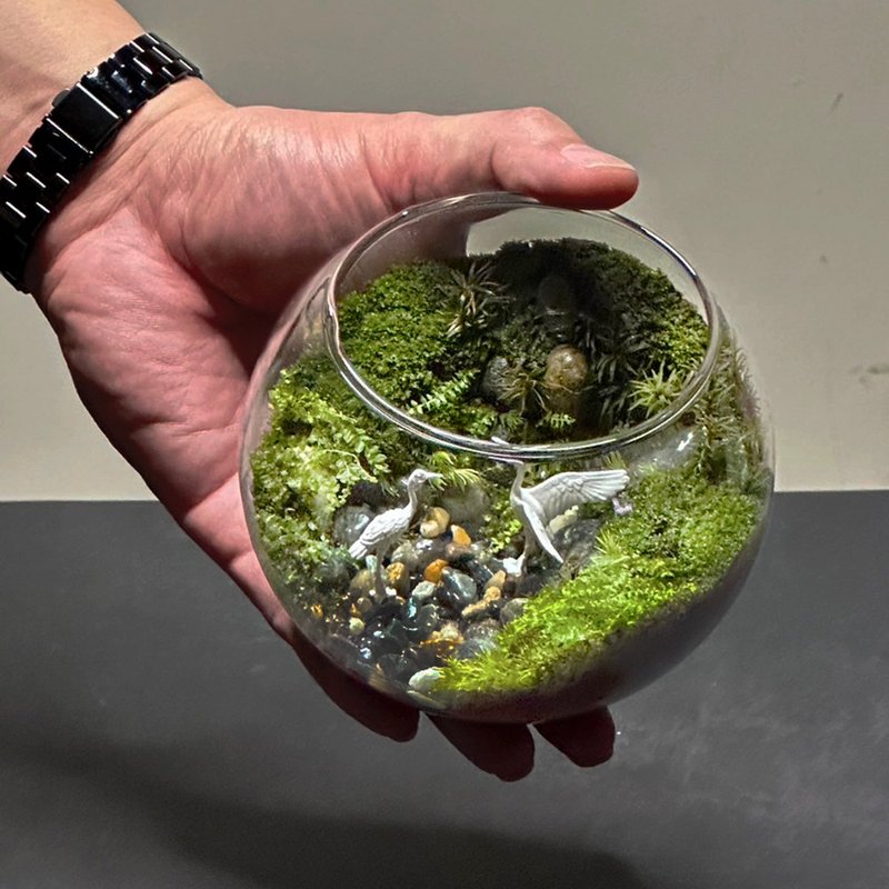 溪澗雙舞  / 主題性客製化造景生態缸 - 盆栽/植栽 - 植物．花 