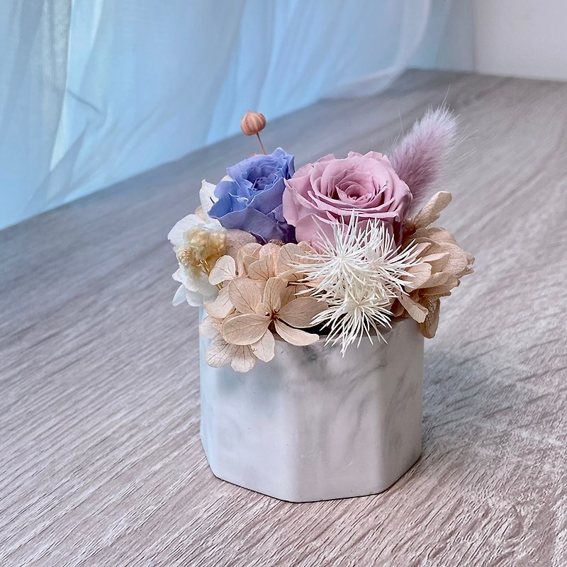 Preserved flower diffuser Stone small potted plant Mother's Day gift handmade preserved flower imported from Japan - ตกแต่งต้นไม้ - พืช/ดอกไม้ หลากหลายสี