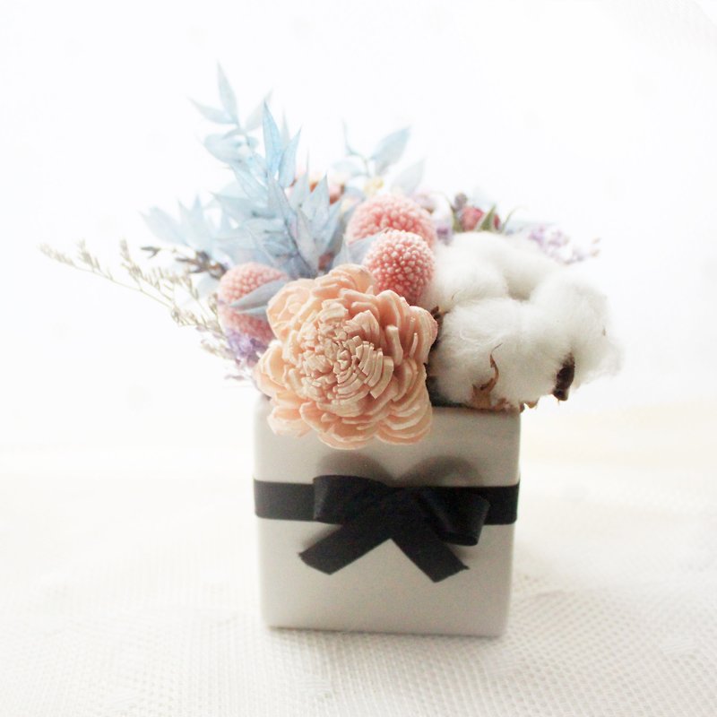Candy color colorful small table flowers, white cotton, sky blue rich leaves dried flower gift - ช่อดอกไม้แห้ง - พืช/ดอกไม้ สึชมพู
