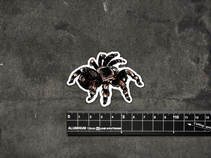 Tarantula Spider Sticker (Water-Repellent Sticker) Skateboard Sticker Safety Hat Sticker Notebook Sticker - สติกเกอร์ - พลาสติก 