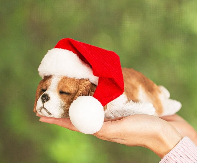 デバリエ 】クリスマスギフト 犬の置物 キャバリア サンタの帽子付き