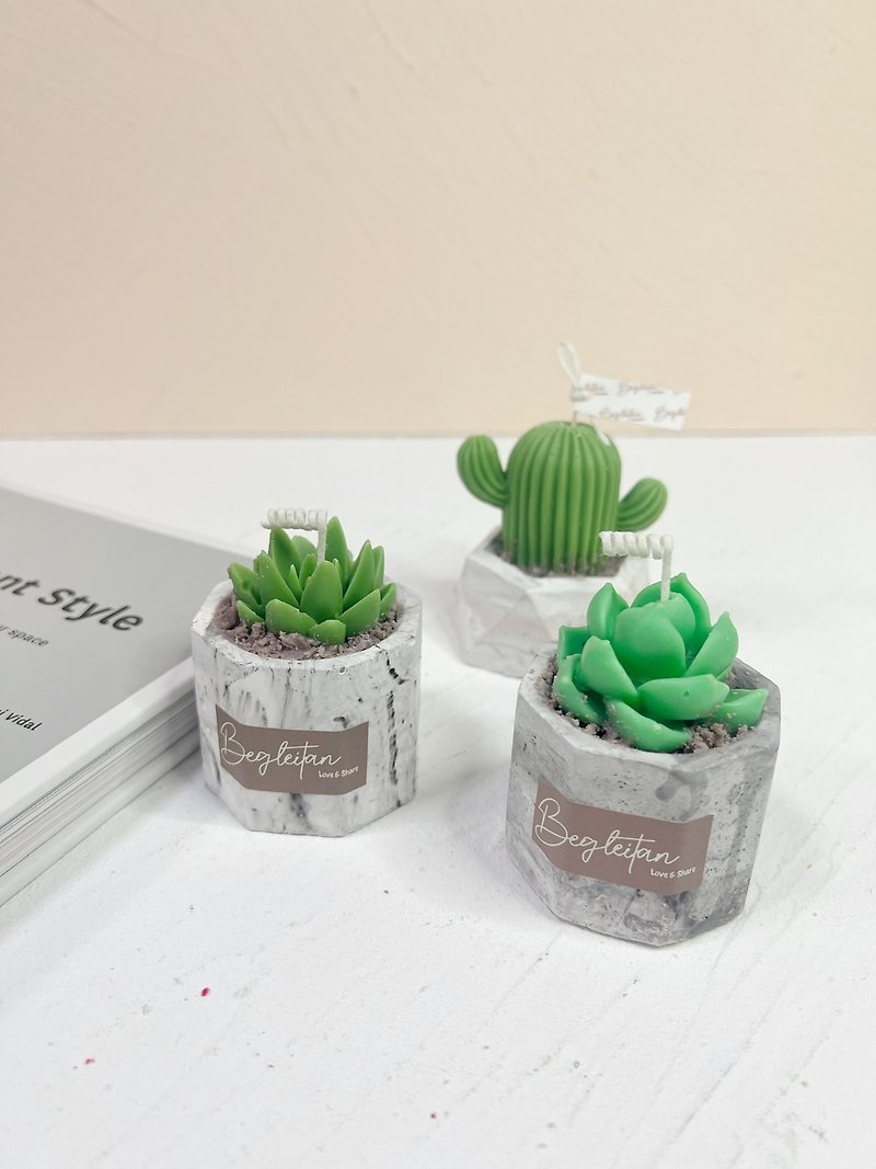 Succulents Scented Candle Plate Planting with Diffuser Stone Flower Plate Workshop - เทียน/เทียนหอม - ขี้ผึ้ง 
