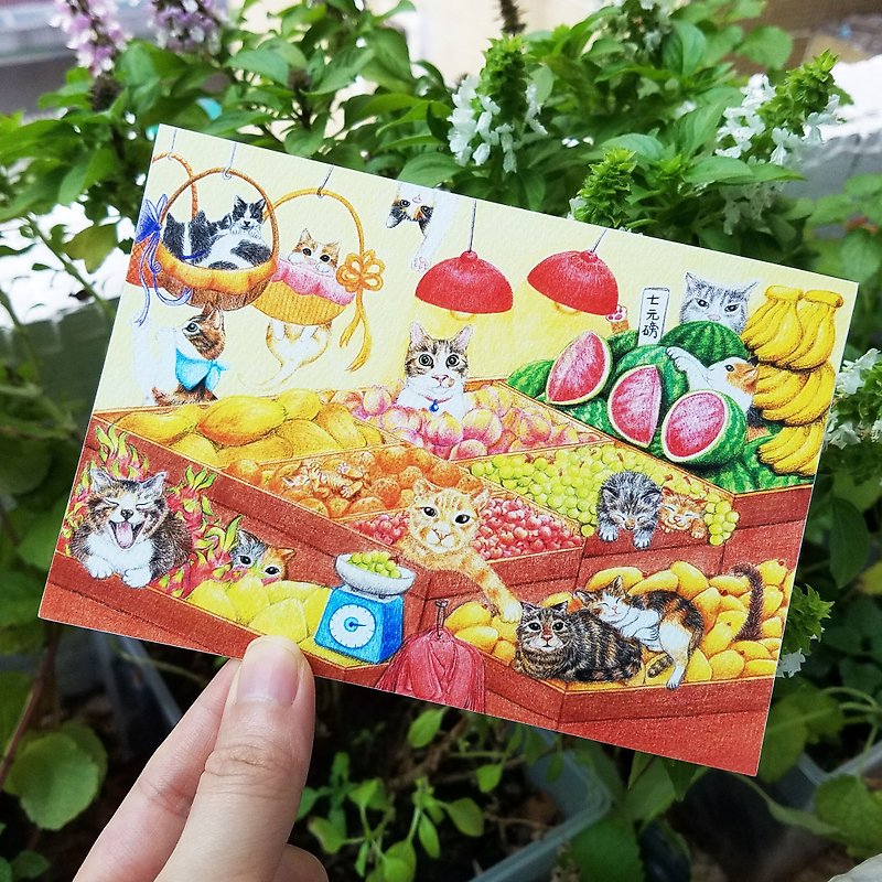 明信片- 街市找貓貓 - 心意卡/卡片 - 紙 多色