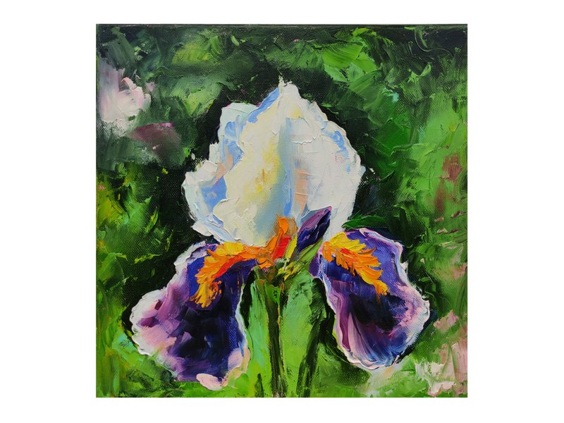 Iris oil painting on canvas Bright flower art Iris imparto painting on canvas - 壁貼/牆壁裝飾 - 其他材質 多色