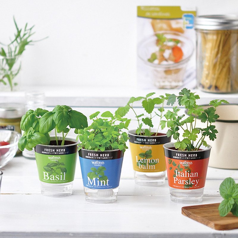 【Hot Gift】Fresh Herb Herb Mini Hydroponic Planting Set - Plants - Plastic Multicolor