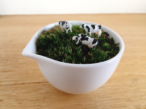 pure-nature 純自然 草原上的動物 乳牛 白瓷器 盆栽 苔 植物 微景觀 animal