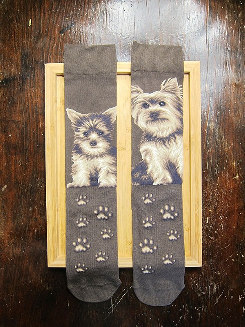JHJ Design Canadian Brand High Color Knitted Cotton Socks Dog Series Yorkshire Terrier (Male) Puppies Love Dogs Cute - Socks - Cotton & Hemp Brown