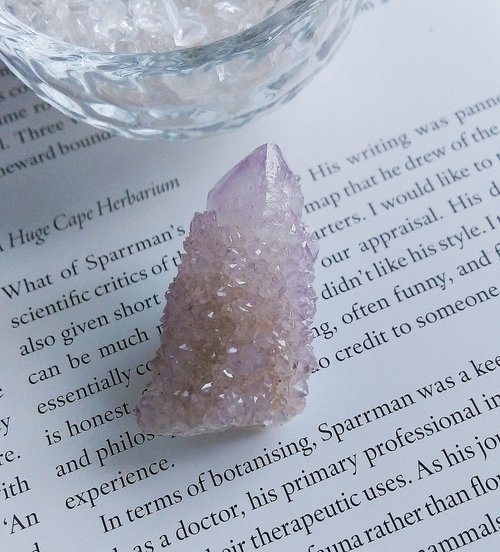 石話石說 Alice Jewelry Cactus Amethyst 南非產地 仙人掌紫水晶 天然礦石 原礦