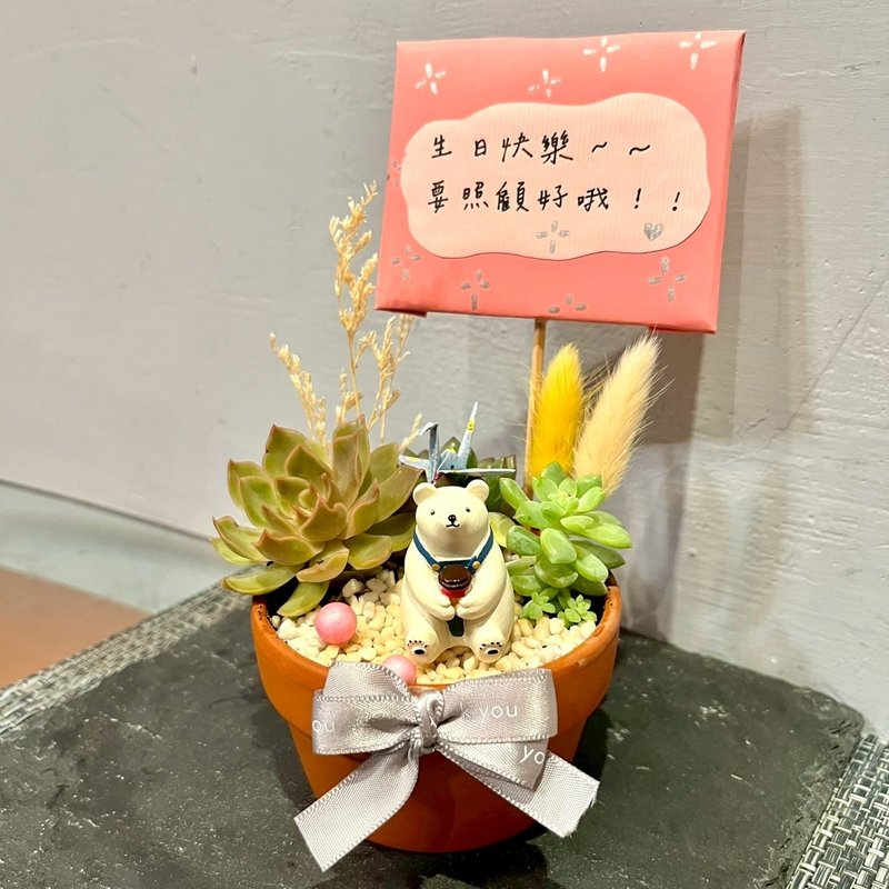 台中多肉組盆 多肉植物 日式枯山水 放鬆小白熊 療癒盆栽 生日禮 - 盆栽/植栽 - 植物．花 綠色