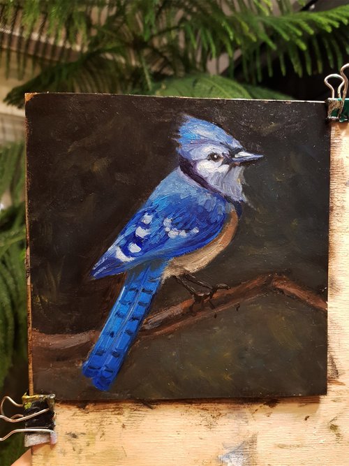 Bird Painting / Art / Blue Jay/ SFA /Wildlife Painting /Original hand  painted bird acrylic painting / Realistic Bird / gift idea