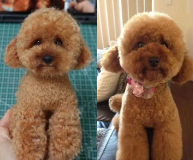 羊毛フェルト　犬　人形 羊毛フェルト うちの子、愛犬オーダー 羊毛フェルト Rurumaru