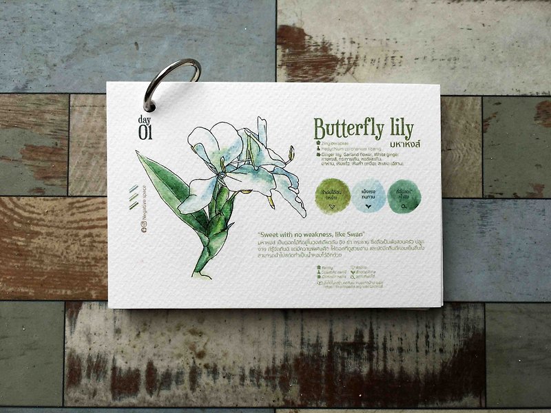【butterfly lily flower 】【calendar card】【Pinkoi Xmas 2022】【ของขวัญคริสต์มาส】 - 心意卡/卡片 - 紙 