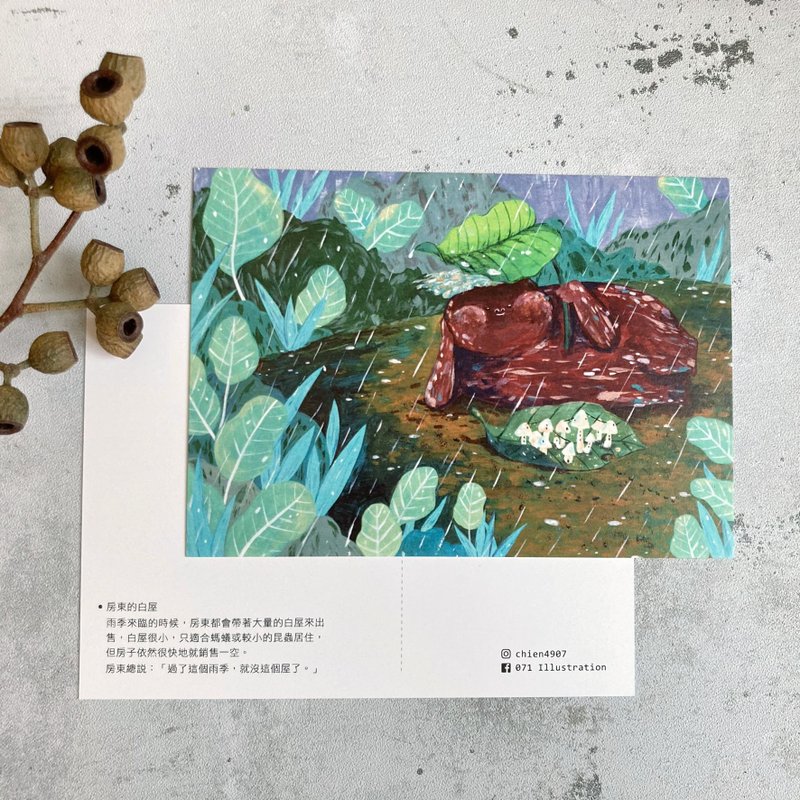 房東的白屋 插畫明信片 - 卡片/明信片 - 紙 白色