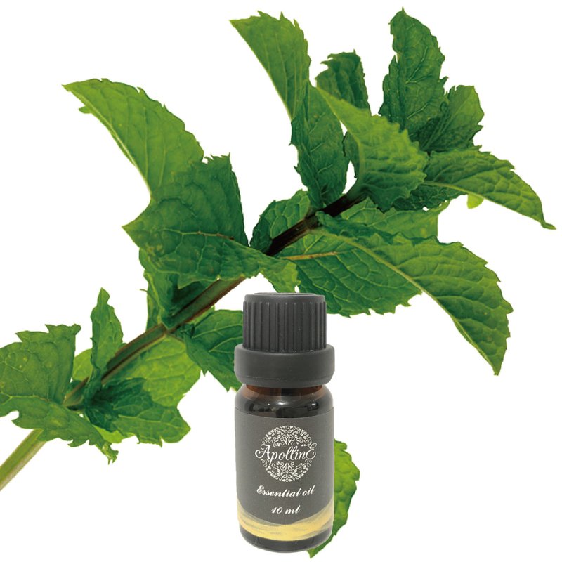 留蘭香/綠薄荷精油 SPEARMINT - 香氛/精油/擴香 - 精油 