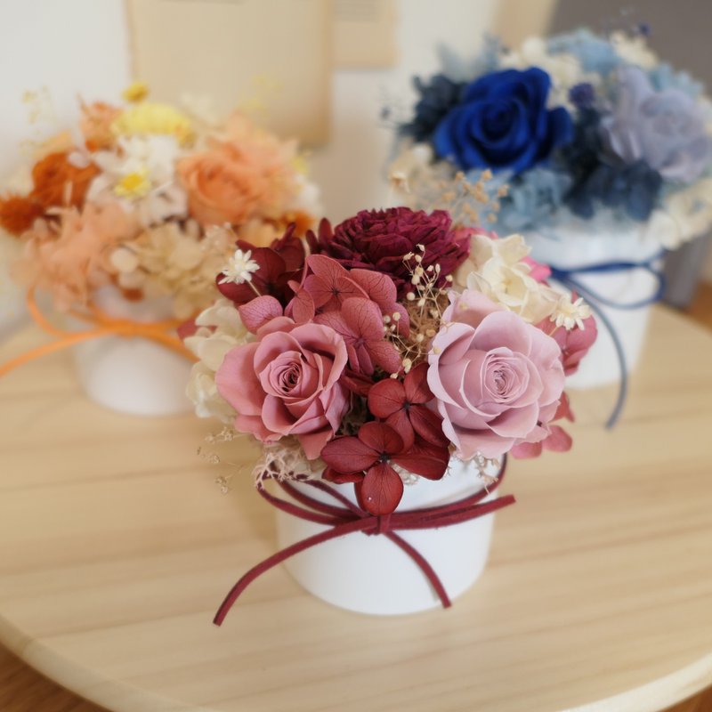 【經典圓形永生盆花】多色系/送禮/居家裝飾/開幕賀禮 - 乾燥花/永生花 - 植物．花 