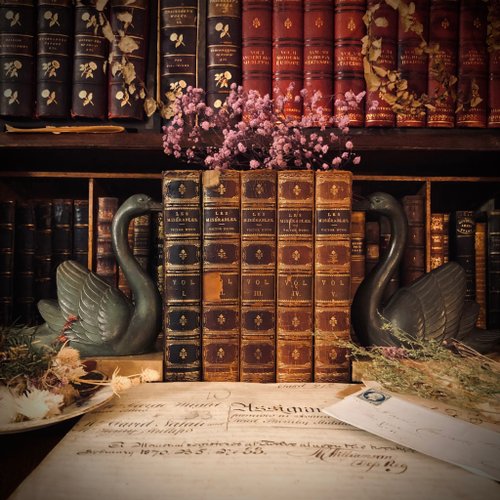 フランス 100年前の小説 500x0.jpg