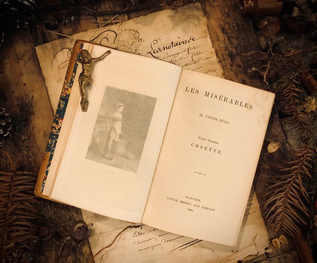 フランス 100年前の小説 1888 年に出版された 100 年も前の有名なフランス小説、レ