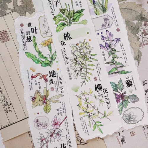 新新手帳社 本草綱目 漢方薬植物 古風花卉 PET 和紙膠帶 10米卷