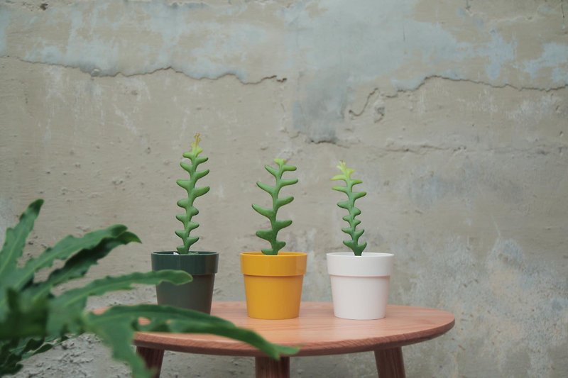 [Small plant on the table] Fishbone cactus | elho texture original round pot (three colors optional) - ตกแต่งต้นไม้ - พืช/ดอกไม้ 