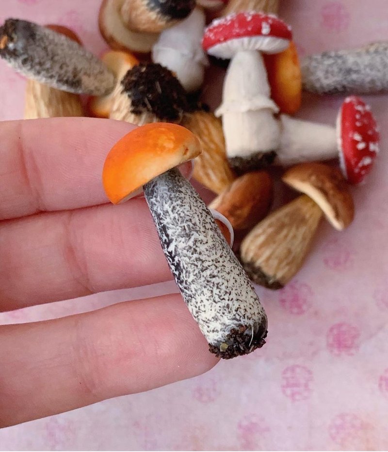 微型蘑菇 牛肝菌。 教程聚合物粘土。 迷你假蔬菜。 視頻+文字 - 其他 - 黏土 