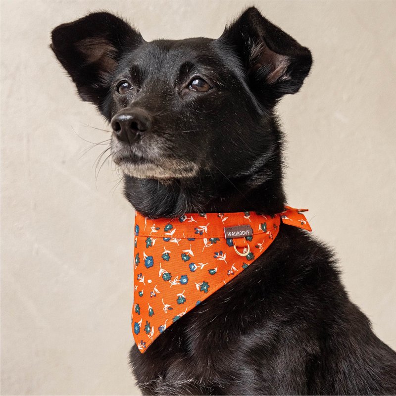 Wagroovy_Bandana_XS/S/M/L - Collars & Leashes - Polyester 