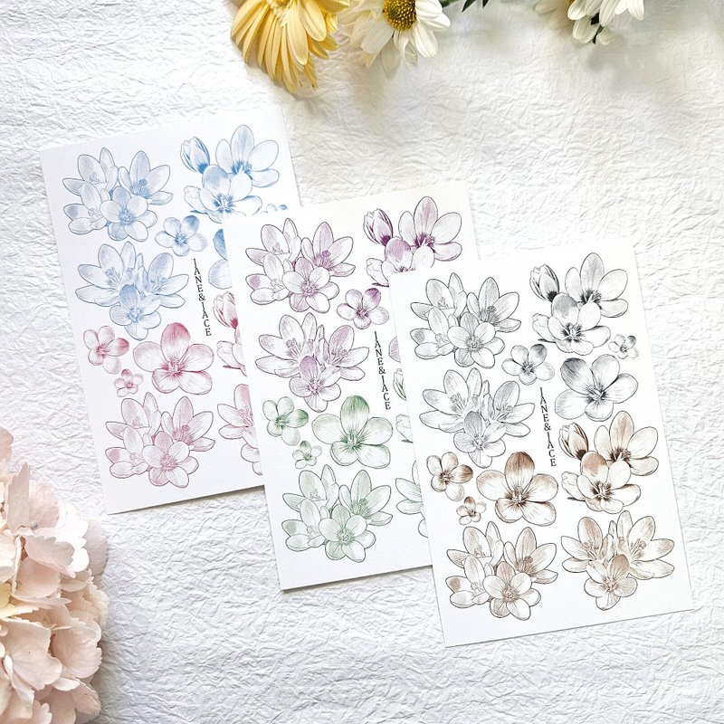Crocus Flower Paper - 貼紙 - 紙 