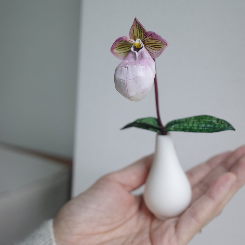 玉女仙履蘭 Paphiopedilum micranthum 皮革蘭花 leather orchid - 植栽/盆栽 - 真皮 