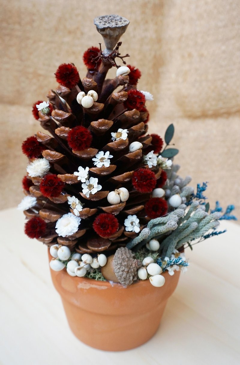 聖誕樹/松果聖誕樹/聖誕禮物/交換禮物/裝飾擺飾 - 乾燥花/永生花 - 植物．花 多色