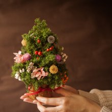Fleurir朵朵時光 |聖誕樹 聖誕小樹 乾燥花 松果聖誕花圈交換禮物