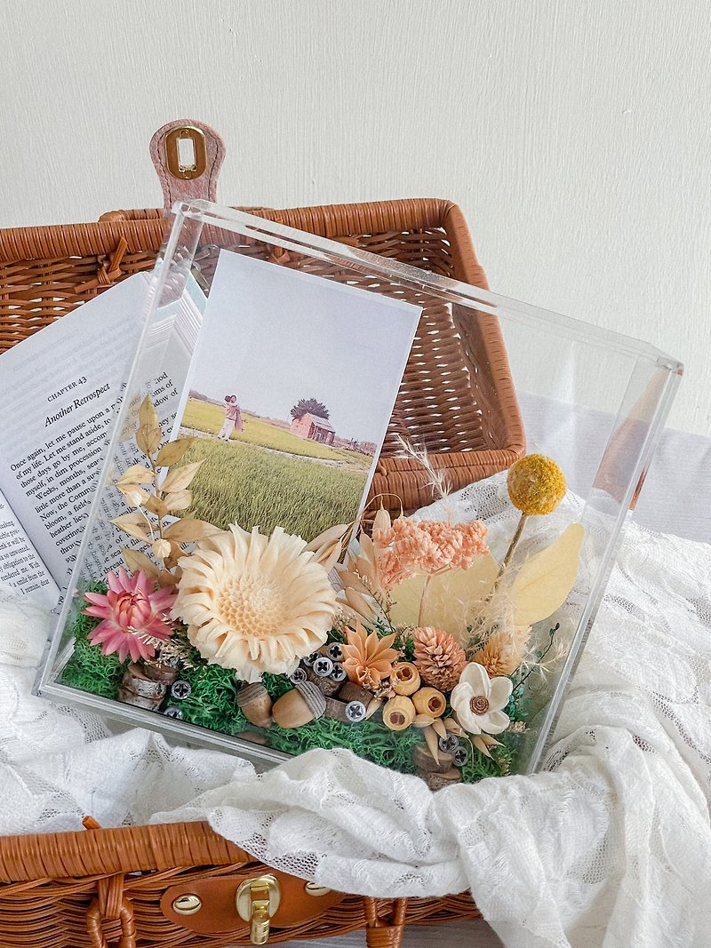 Sunshine of the Heart x Permanent Dry Flower Transparent Flower Frame - Picture Frames - Plants & Flowers 