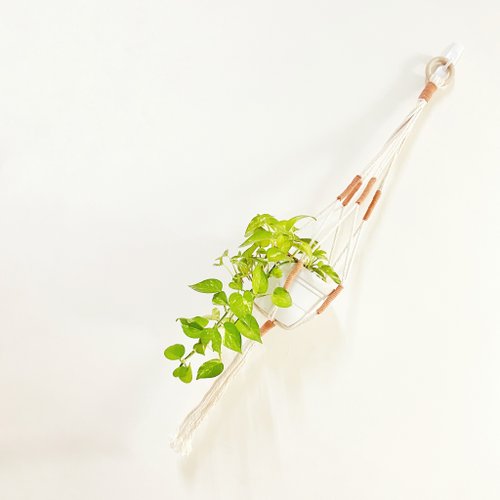 CHRIS Art Studio Macrame 植物吊籃【Macrame Plant Hanger】