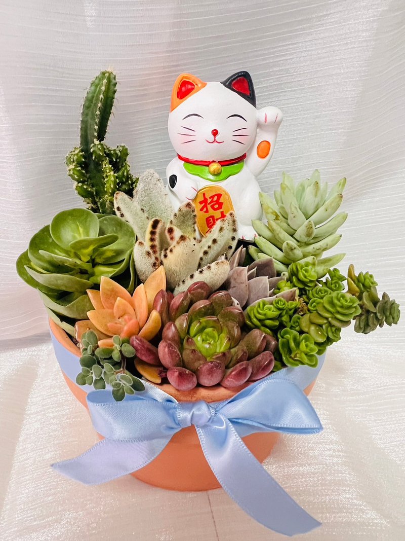 優雅貓咪客製組盆 開幕誌慶 新居落成 升官喬遷 婚禮 生日交換禮 - 植栽/盆栽 - 水泥 橘色