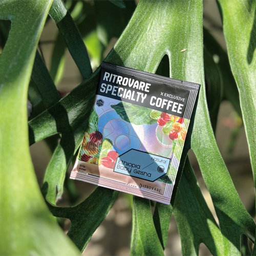 Ritrovare coffee / 尋品·旬品 咖啡 【尋品咖啡・兩件5折】精品濾掛式咖啡 - 寶貝藝伎 日曬 10入盒